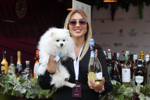 Festival hroznů a vína se otevírá v ázerbájdžánském Šamachi – FOTO