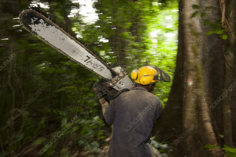 Muž obviněn z pokusu o vraždu po útoku motorovou pilou v Horní Blatné
