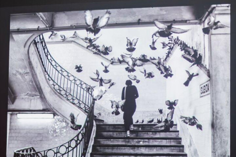 V Praze se uskutečnil slavnostní večer „Šuša, jsi svobodná!“ – FOTO